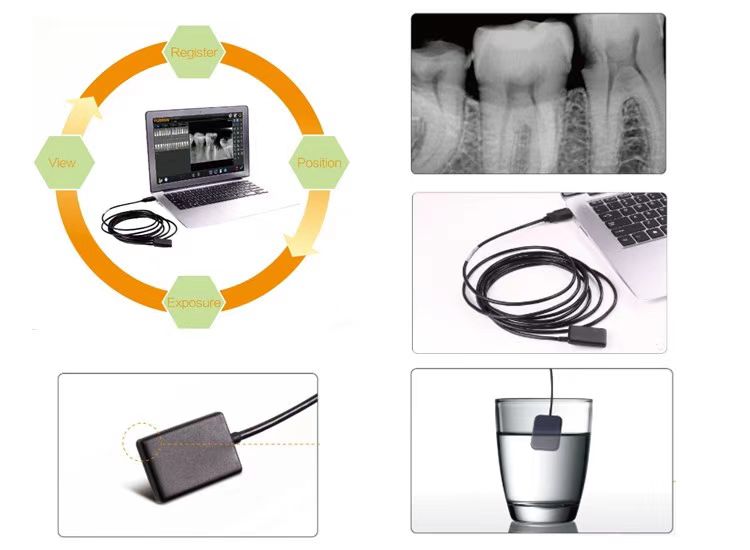 微信图片_20260105095024